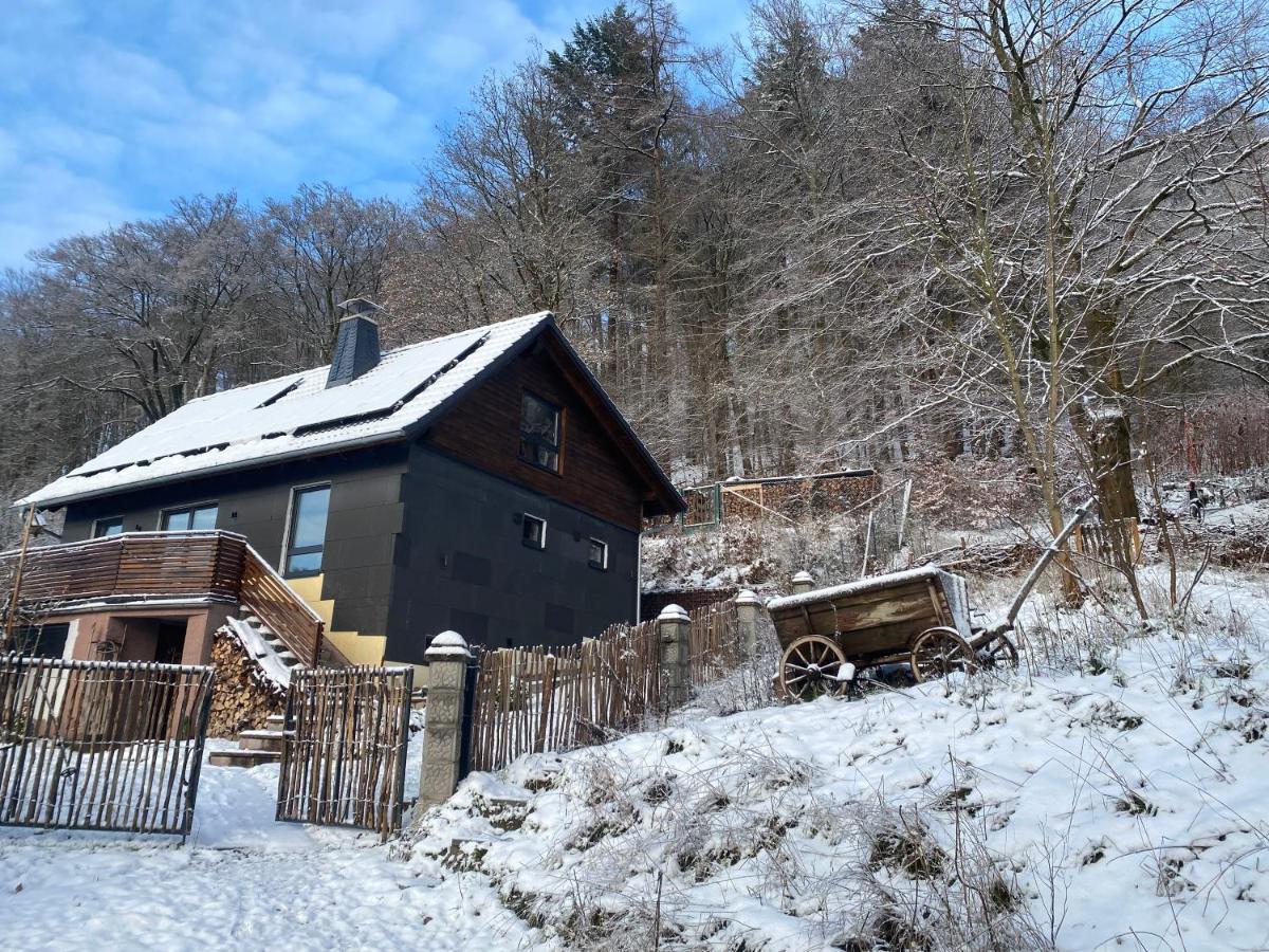 Chalet Huettenzauber Zella-Mehlis Exterior foto